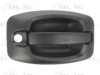 BLIC 6010-07-038401P Door Handle